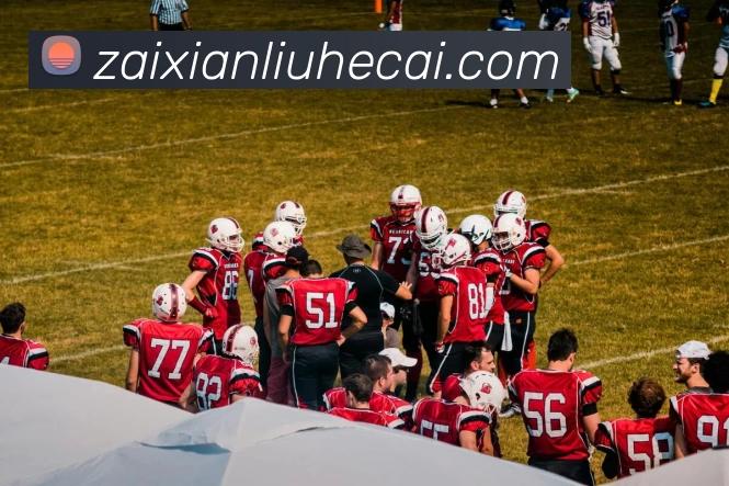 App Interface Preview